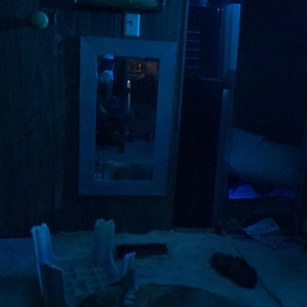 Meet your Posher, Rik - Picture 2 of 2